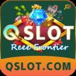 qslot - Live Premium